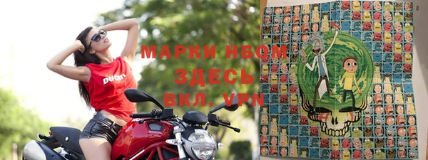 шишки Алзамай