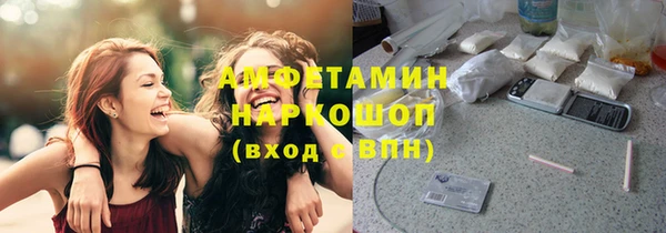 шишки Алзамай