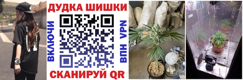 купить наркотик  Ленинск  МЕГА   Каннабис планчик 